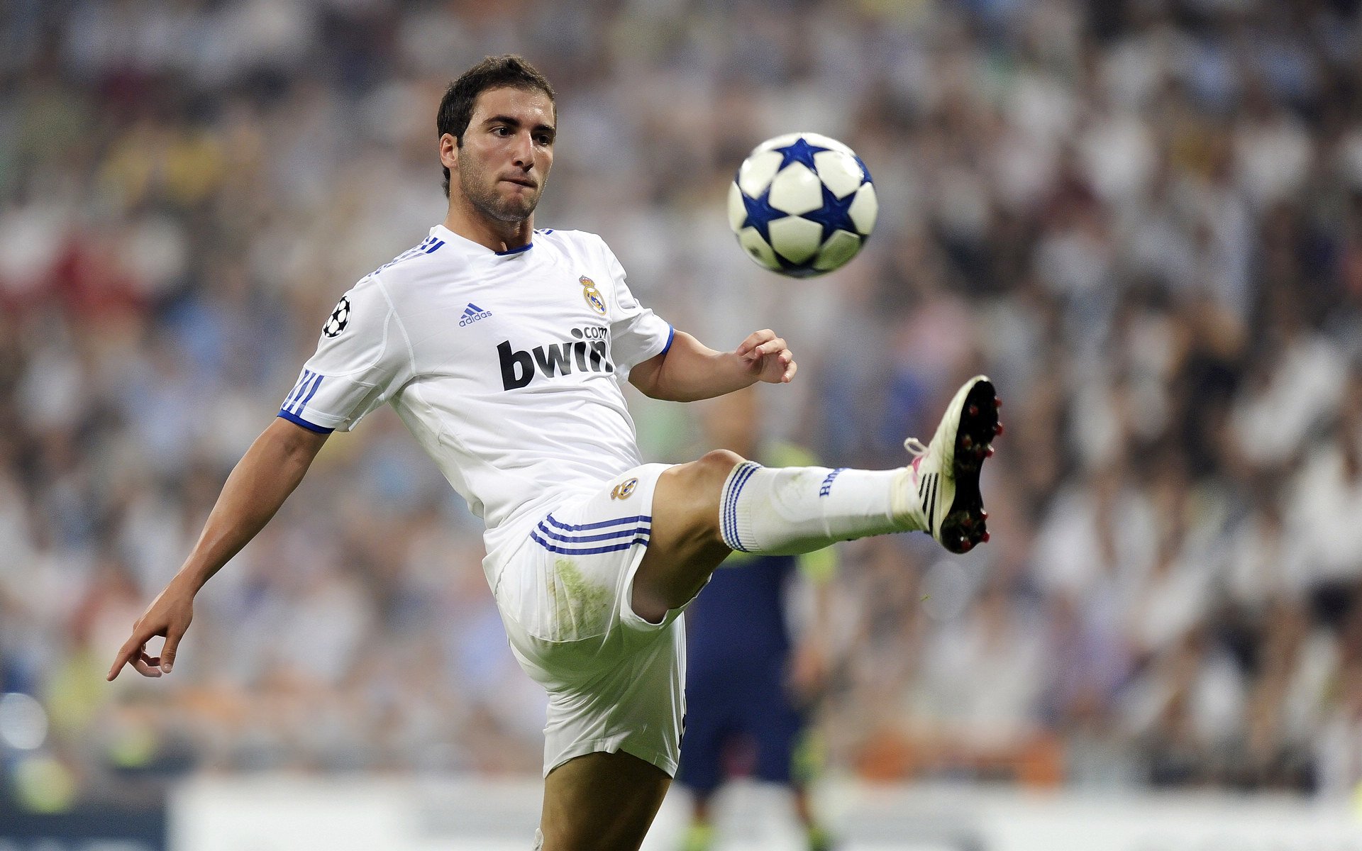 德约科维奇回归赛场，战术调整首场状态亮眼，篮网观众沸腾！