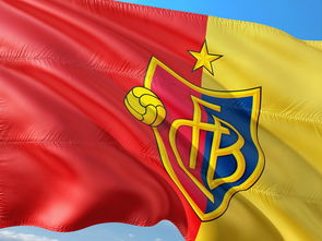 哈登回归赛场，大胜首场状态亮眼，瑞士队观众沸腾！